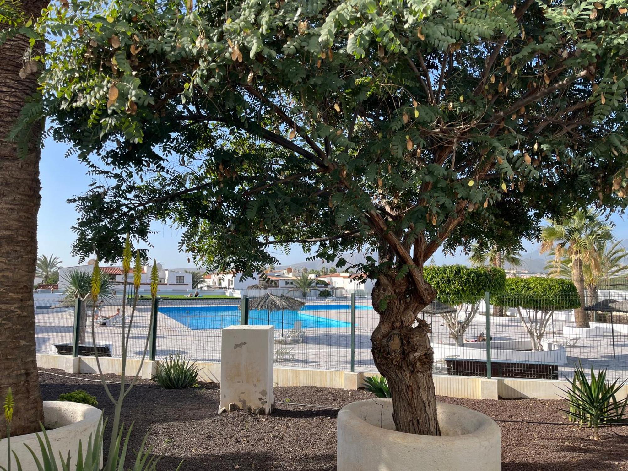 Appartement Casa Guay Welcome To Your In The Sun!